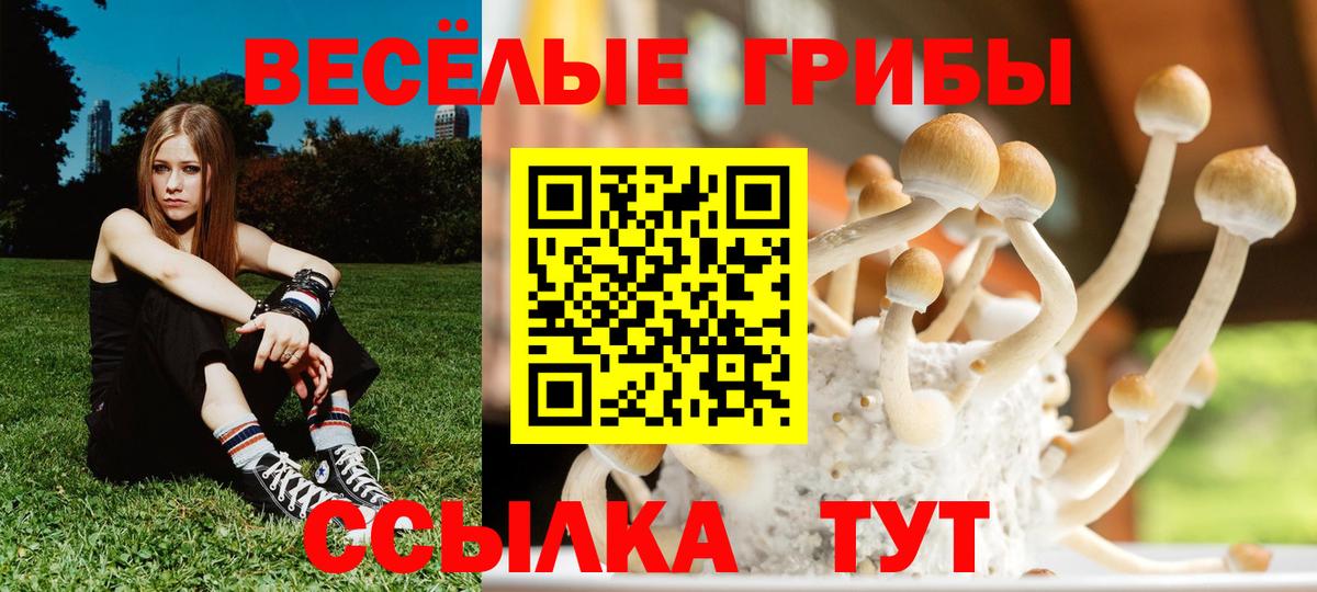 Галлюциногенные грибы Magic Shrooms  Вход с VPN  Киреевск 